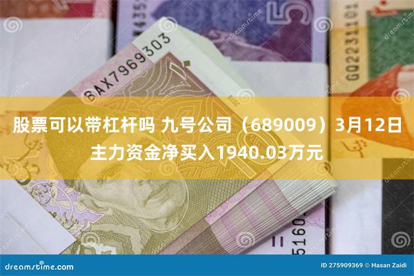 股票可以带杠杆吗 九号公司（689009）3月12日主力资金净买入1940.03万元