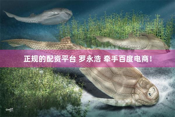 正规的配资平台 罗永浩 牵手百度电商！