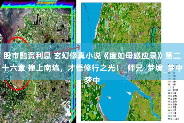 股市融资利息 玄幻修真小说《度如母感应录》第二十六章 撞上南墙，才悟修行之光！_师兄_梦境_梦中