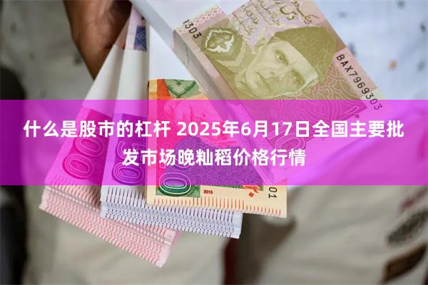 什么是股市的杠杆 2025年6月17日全国主要批发市场晚籼稻价格行情