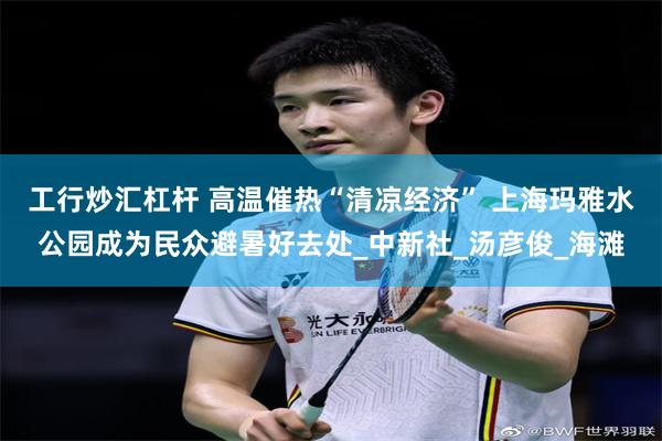 工行炒汇杠杆 高温催热“清凉经济” 上海玛雅水公园成为民众避暑好去处_中新社_汤彦俊_海滩