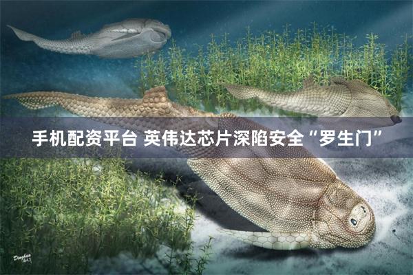 手机配资平台 英伟达芯片深陷安全“罗生门”