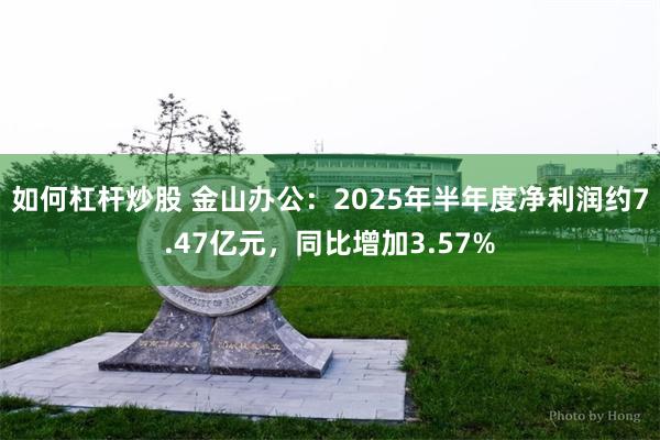 如何杠杆炒股 金山办公：2025年半年度净利润约7.47亿元，同比增加3.57%