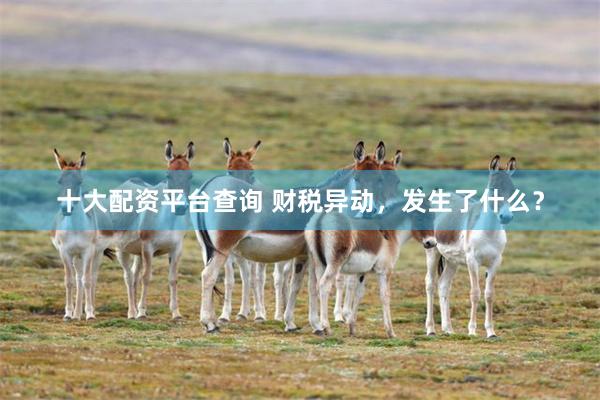 十大配资平台查询 财税异动，发生了什么？