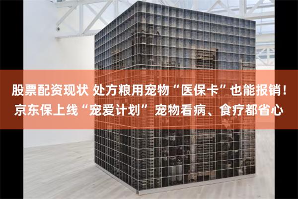 股票配资现状 处方粮用宠物“医保卡”也能报销！京东保上线“宠爱计划” 宠物看病、食疗都省心