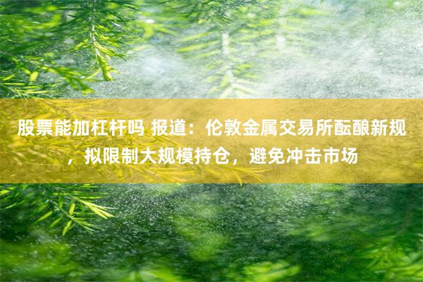 股票能加杠杆吗 报道：伦敦金属交易所酝酿新规，拟限制大规模持仓，避免冲击市场