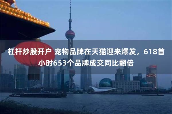 杠杆炒股开户 宠物品牌在天猫迎来爆发，618首小时653个品牌成交同比翻倍