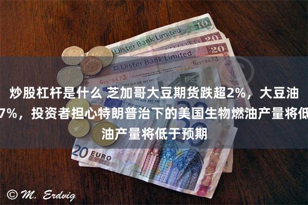 炒股杠杆是什么 芝加哥大豆期货跌超2%，大豆油跌约5.7%，投资者担心特朗普治下的美国生物燃油产量将低于预期