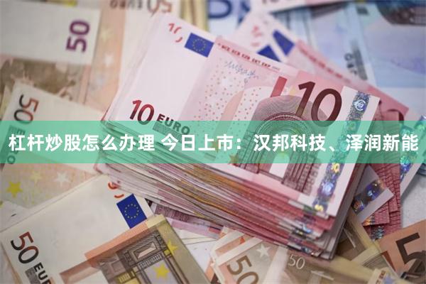 杠杆炒股怎么办理 今日上市：汉邦科技、泽润新能