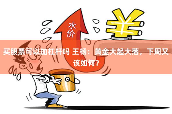 买股票可以加杠杆吗 王杨：黄金大起大落，下周又该如何？