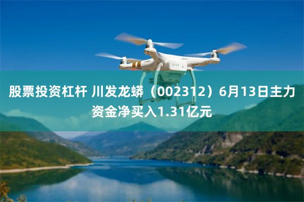 股票投资杠杆 川发龙蟒（002312）6月13日主力资金净买入1.31亿元
