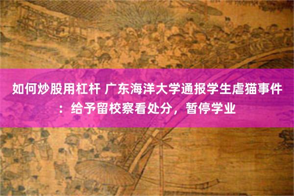 如何炒股用杠杆 广东海洋大学通报学生虐猫事件：给予留校察看处分，暂停学业