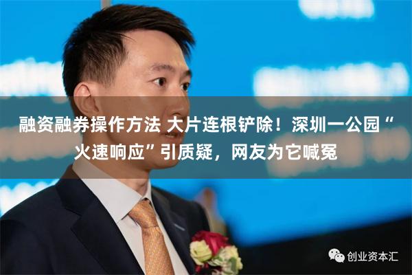 融资融券操作方法 大片连根铲除！深圳一公园“火速响应”引质疑，网友为它喊冤