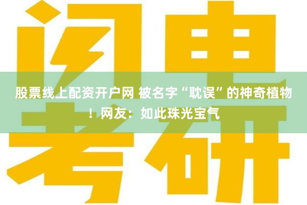 股票线上配资开户网 被名字“耽误”的神奇植物！网友：如此珠光宝气