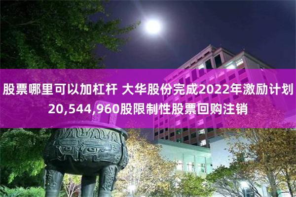 股票哪里可以加杠杆 大华股份完成2022年激励计划20,544,960股限制性股票回购注销