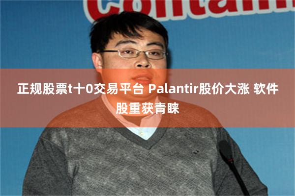 正规股票t十0交易平台 Palantir股价大涨 软件股重获青睐