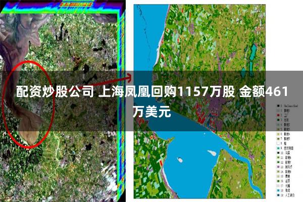 配资炒股公司 上海凤凰回购1157万股 金额461万美元