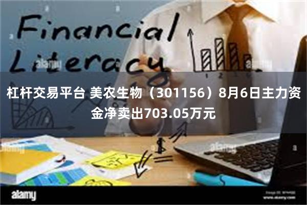 杠杆交易平台 美农生物（301156）8月6日主力资金净卖出703.05万元
