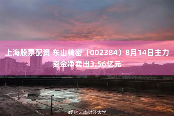 上海股票配资 东山精密（002384）8月14日主力资金净卖出3.56亿元