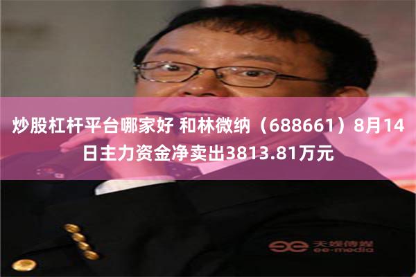 炒股杠杆平台哪家好 和林微纳（688661）8月14日主力资金净卖出3813.81万元