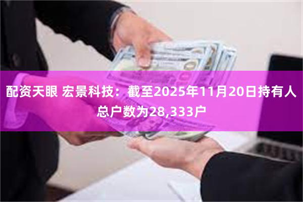 配资天眼 宏景科技：截至2025年11月20日持有人总户数为28,333户