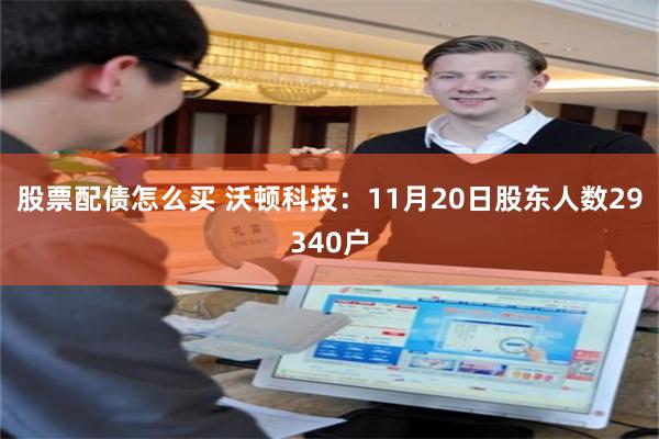 股票配债怎么买 沃顿科技：11月20日股东人数29340户