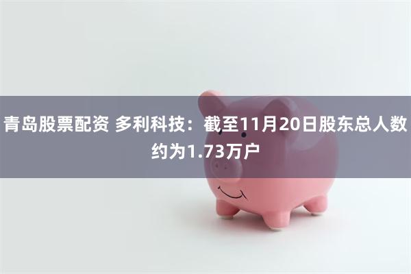 青岛股票配资 多利科技：截至11月20日股东总人数约为1.73万户