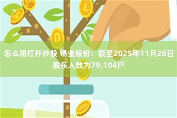 怎么用杠杆炒股 锡业股份：截至2025年11月28日股东人数为79,104户