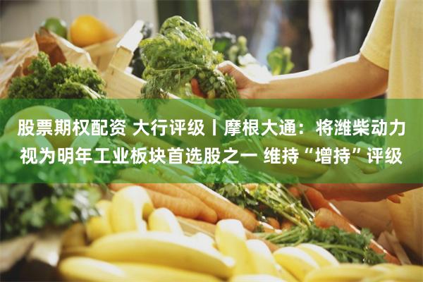 股票期权配资 大行评级丨摩根大通：将潍柴动力视为明年工业板块首选股之一 维持“增持”评级
