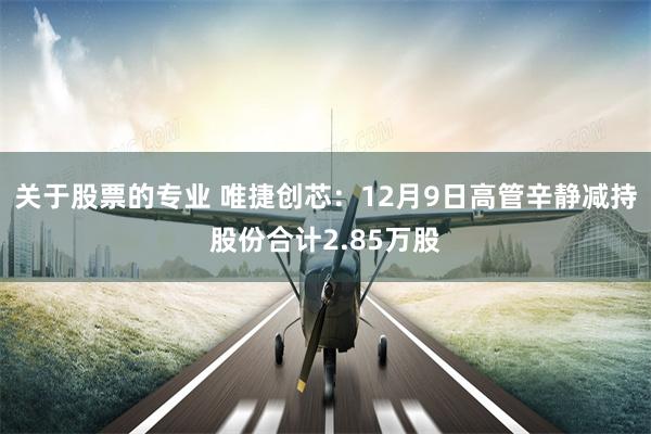 关于股票的专业 唯捷创芯：12月9日高管辛静减持股份合计2.85万股