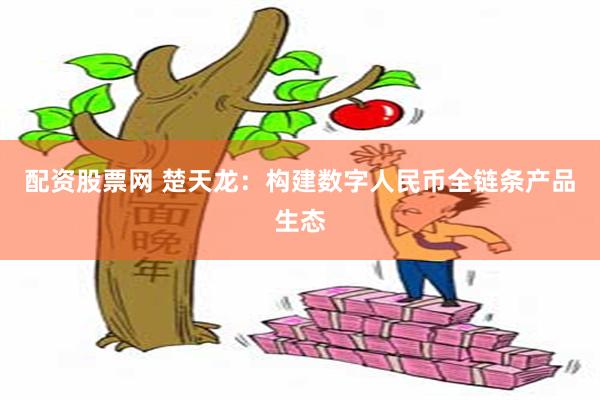 配资股票网 楚天龙：构建数字人民币全链条产品生态