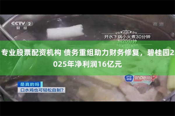 专业股票配资机构 债务重组助力财务修复，碧桂园2025年净利润16亿元