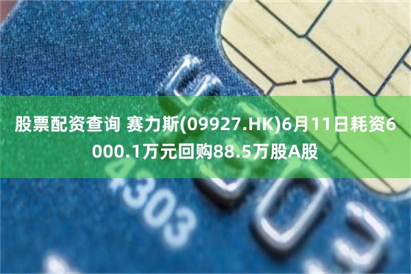 股票配资查询 赛力斯(09927.HK)6月11日耗资6000.1万元回购88.5万股A股