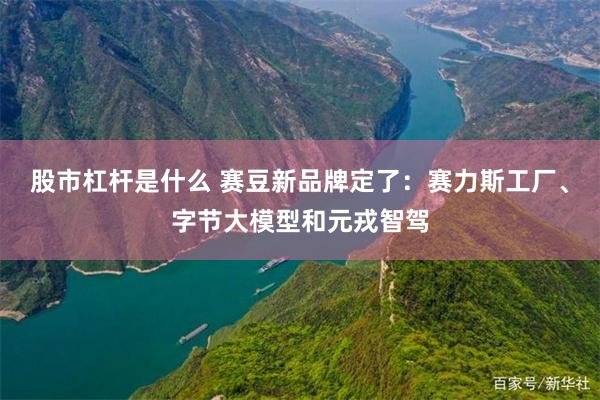 股市杠杆是什么 赛豆新品牌定了:赛力斯工厂、字节大模型和元戎智驾