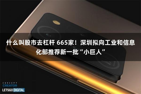 什么叫股市去杠杆 665家！深圳拟向工业和信息化部推荐新一批“小巨人”