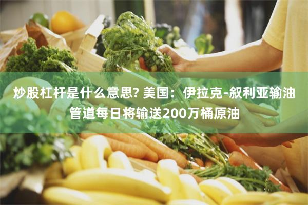 炒股杠杆是什么意思? 美国:伊拉克-叙利亚输油管道每日将输送200万桶原油