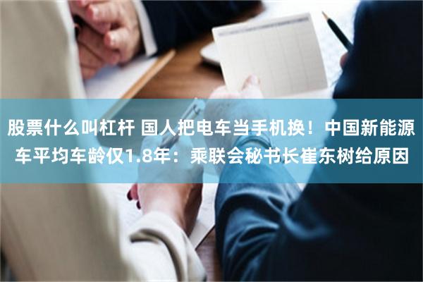 股票什么叫杠杆 国人把电车当手机换！中国新能源车平均车龄仅1.8年：乘联会秘书长崔东树给原因