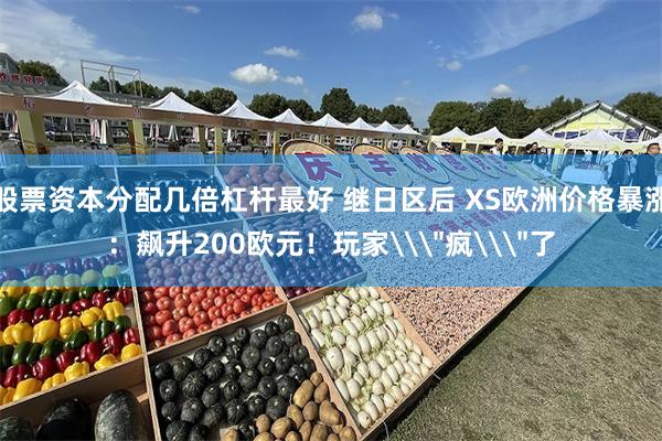 股票资本分配几倍杠杆最好 继日区后 XS欧洲价格暴涨：飙升200欧元！玩家\