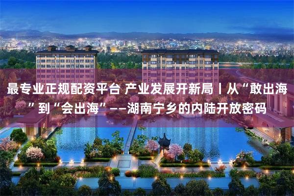最专业正规配资平台 产业发展开新局丨从“敢出海”到“会出海”——湖南宁乡的内陆开放密码
