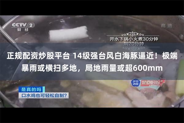 正规配资炒股平台 14级强台风白海豚逼近！极端暴雨或横扫多地，局地雨量或超600mm