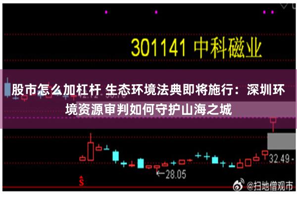 股市怎么加杠杆 生态环境法典即将施行：深圳环境资源审判如何守护山海之城