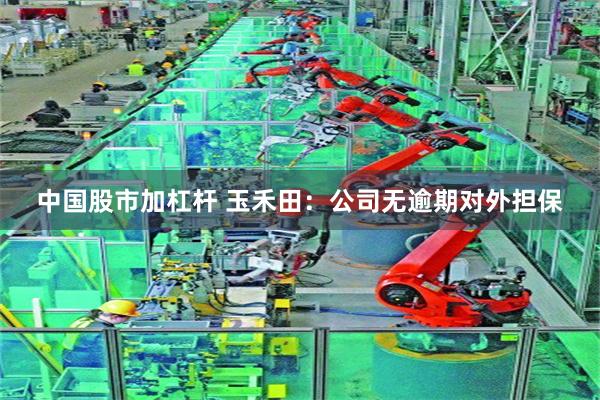 中国股市加杠杆 玉禾田:公司无逾期对外担保