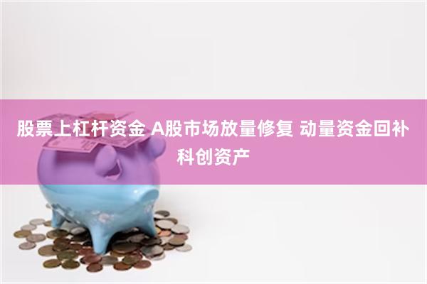 股票上杠杆资金 A股市场放量修复 动量资金回补科创资产