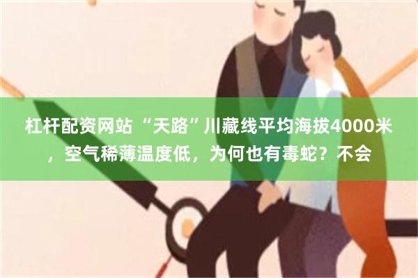 杠杆配资网站 “天路”川藏线平均海拔4000米，空气稀薄温度低，为何也有毒蛇？不会