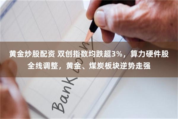 黄金炒股配资 双创指数均跌超3%，算力硬件股全线调整，黄金、煤炭板块逆势走强