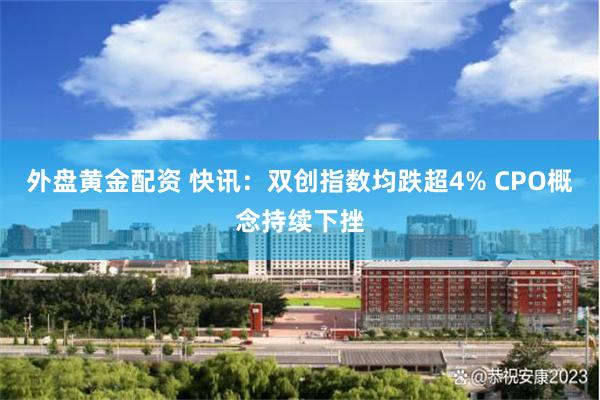 外盘黄金配资 快讯：双创指数均跌超4% CPO概念持续下挫
