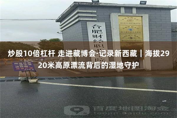 炒股10倍杠杆 走进藏博会·记录新西藏｜海拔2920米高原漂流背后的湿地守护
