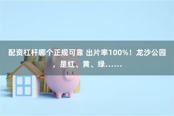 配资杠杆哪个正规可靠 出片率100%！龙沙公园，是红、黄、绿……