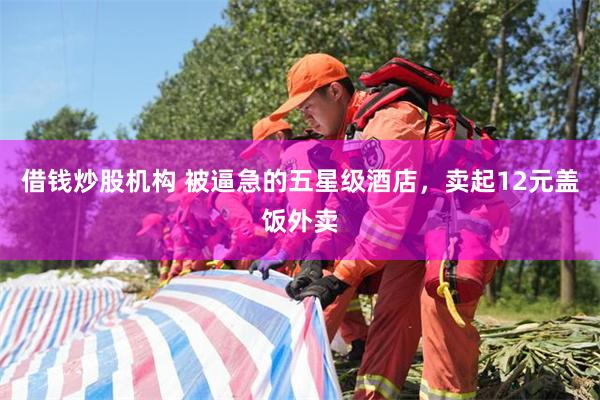 借钱炒股机构 被逼急的五星级酒店，卖起12元盖饭外卖