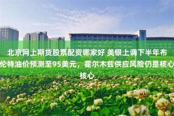 北京网上期货股票配资哪家好 美银上调下半年布伦特油价预测至95美元，霍尔木兹供应风险仍是核心